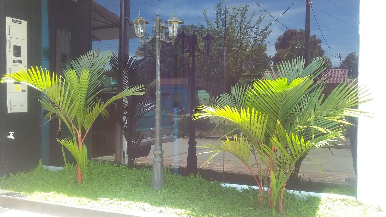 Hotel Palma Roja グラナダ エクステリア 写真